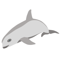 Vaquita 