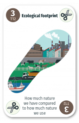 Ecological Footprint