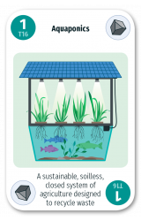 Aquaponics