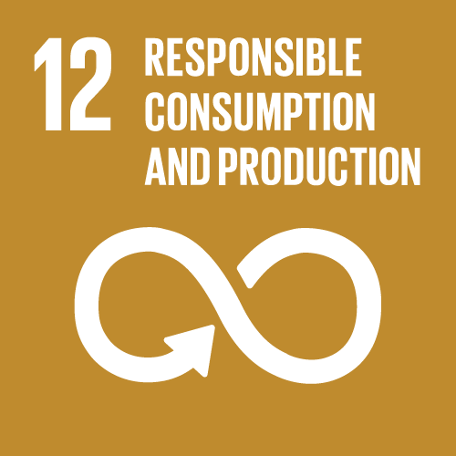 Goal 12 - Responsible Consumption and Production