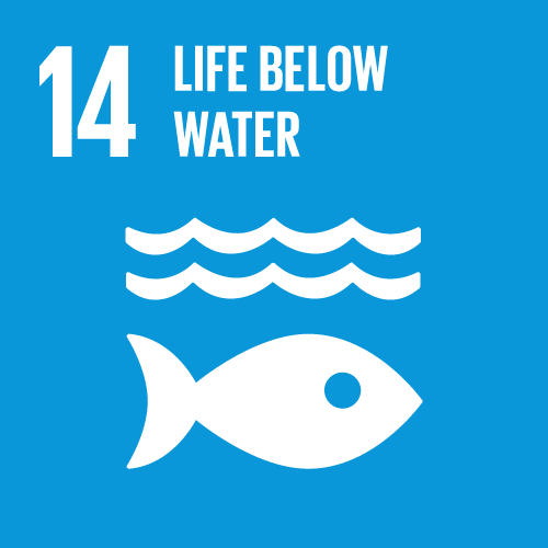 Goal 14 - Life Below Water